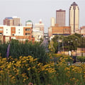 The image shows the downtown skyline of Des Moines, Iowa, viewed from a scenic park area filled with yellow wildflowers and tall green grasses.